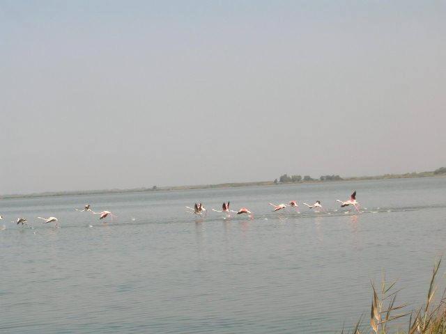Summertime 3*